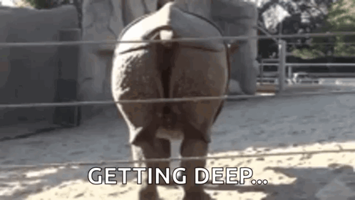 Hippo Poop Getting Deep GIF