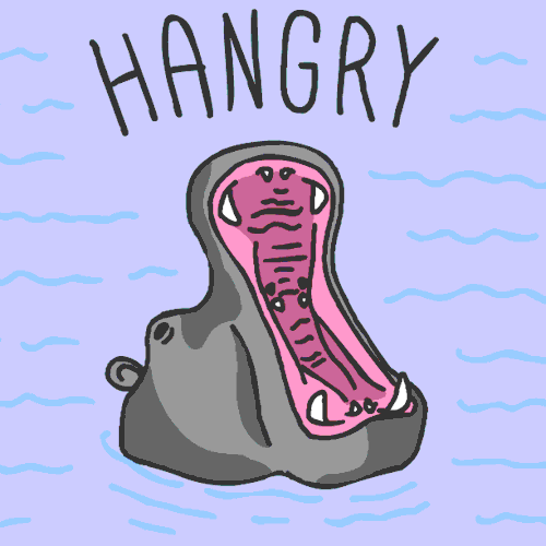 Hippopotamus Hangry GIF