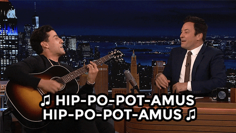 Hippopotamus Song Jimmy Fallon GIF