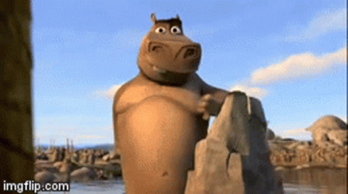 Hippopotamus Standing on Rock by Water