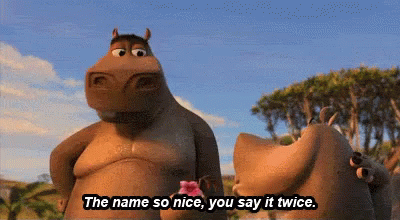 Hippopotamus With Flower Says Name So Nice Twice GIF