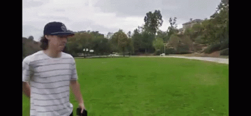 Hit Stick Hiding Bat GIF