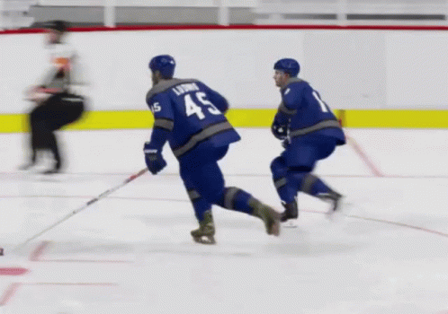 Hit Stick In Ice Hockey GIF
