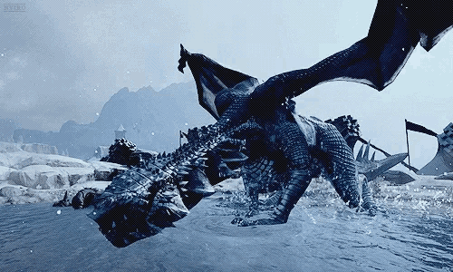 Hivernal Dragons Gif GIF