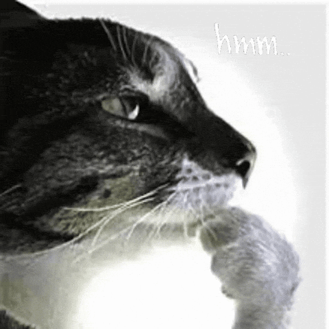 Hmmmm Gif GIF