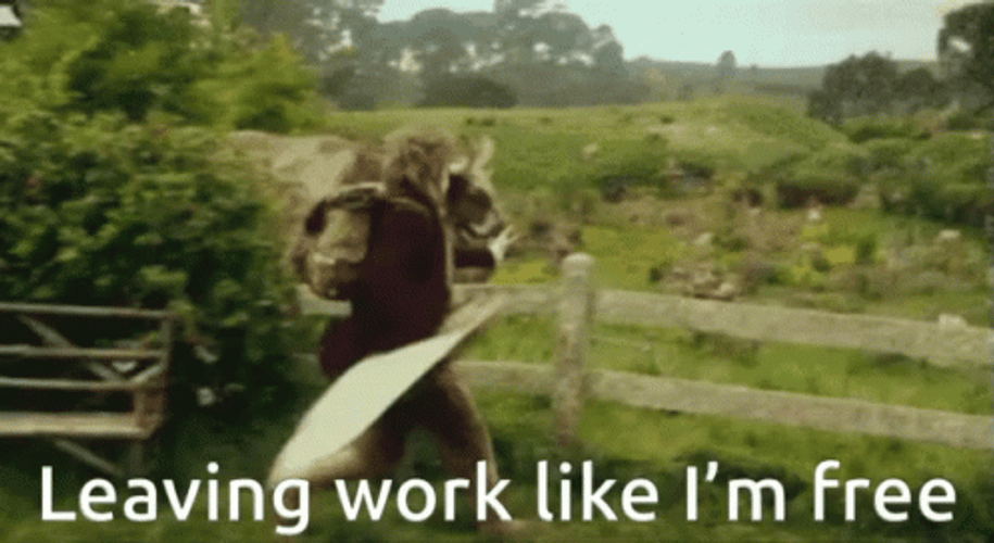 Hobbit Spoiler Leaving Work Im Free GIF