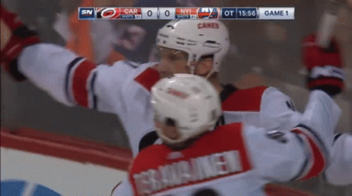 Hockey Game Between Carolina Panthers And New York Islanders GIF