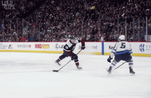 Hockey Game in Front of Crowd
