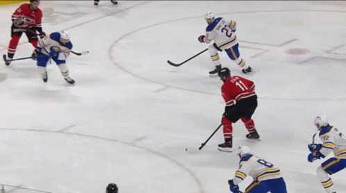Hockey Game in Front of Honda Sign