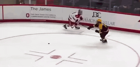 Hockey Game in Front of James Banner