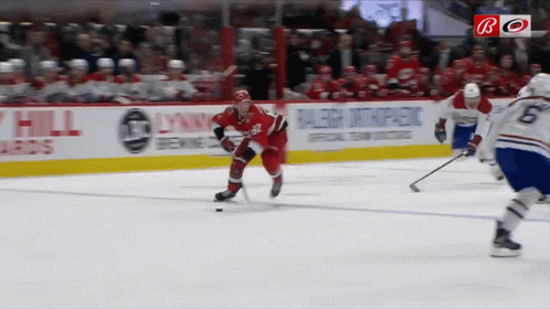 Hockey Game In Front Of Lynwood Ad GIF