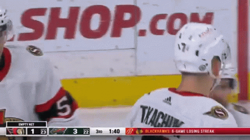 Hockey Game in Front of Shop.com Ad