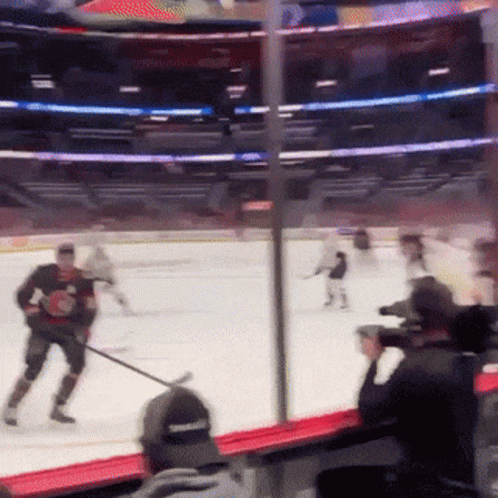 Hockey Game in Stadium