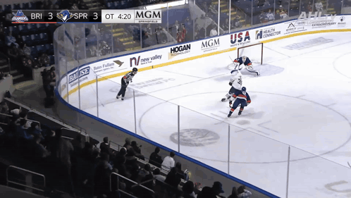 Hockey Game in Stadium Sponsored by MGM USA and Hogan
