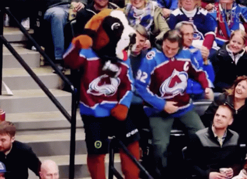 Hockey Game in Stadium