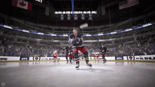 Hockey Game in Stadium With Goal Banner