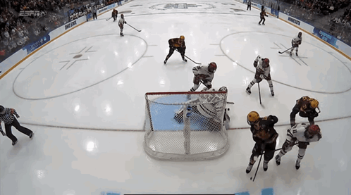 Hockey Game on ESPN Ice