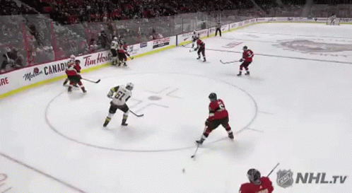 Hockey Game on Rink With Pizza Pizza Ad