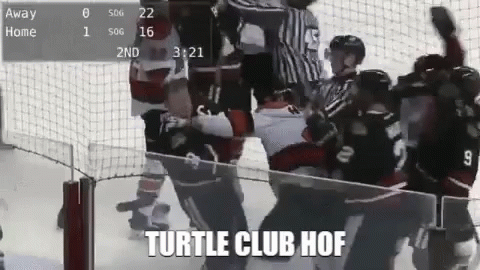 Hockey Game Saying Turtle Club Hof GIF