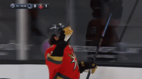 Hockey Game Score 1-0