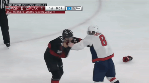 Hockey Game Score 1-9