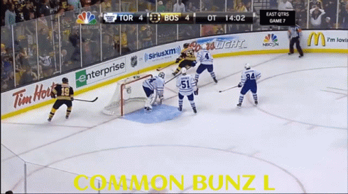 Hockey Game Screen Saying Common Bunz L