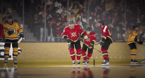 Hockey Game With Crowd and EA Sign