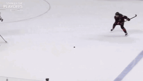 Hockey Game With Honda Betway Banner