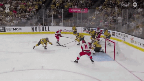 Hockey Game With Norwegian Cruise Line Banner