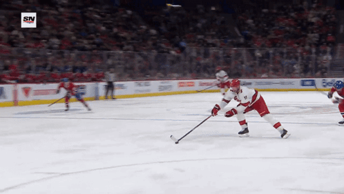 Hockey Game With SN Logo
