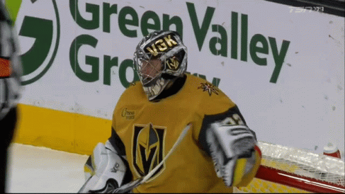 Hockey Goalie In Green Valley GIF