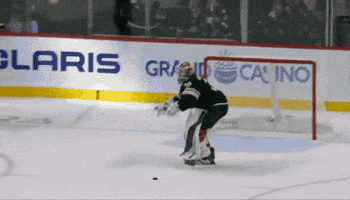 Hockey Goalie Standing On Ice GIF