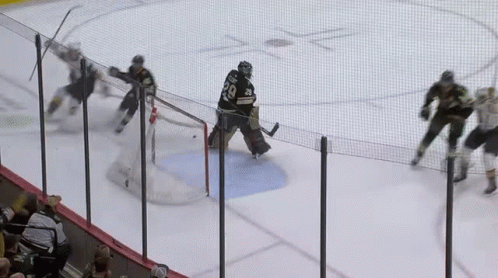 Hockey Goalie Wearing Number 28