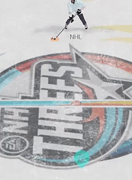 Hockey Goon Says No GIF