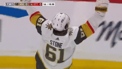 Hockey Player #20 Celebrates with Teammate