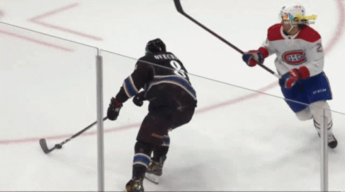 Hockey Player #9 Chased