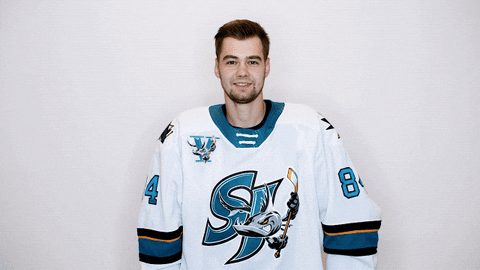 Hockey Player Bang Bang GIF