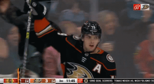 Hockey Player Celebrates Goal GIF