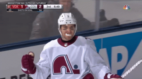 Hockey Player Celebrates Goal
