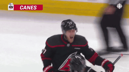Hockey Player Celebrating Goal With Canes Advertisement