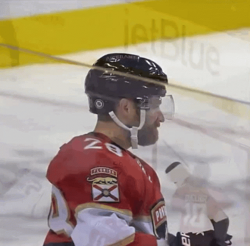 Hockey Player Florida Panthers Jersey