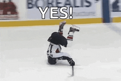 Hockey Player Gif GIF