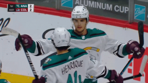 Hockey Player Henrique GIF