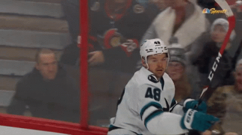 Hockey Player Holding CCM Stick With Crowd