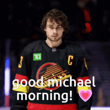 Hockey Player in Number 3 Jersey