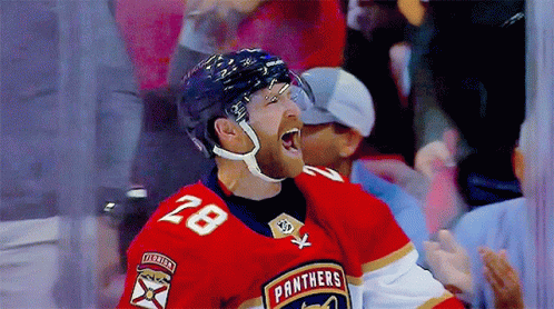 Hockey Player in Panthers Jersey Celebrates
