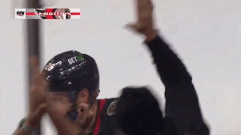 Hockey Player in Panthers Jersey Celebrates