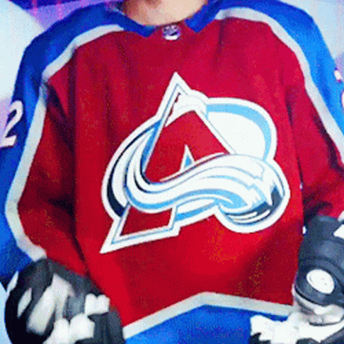 Hockey Player in Red and Blue Jersey