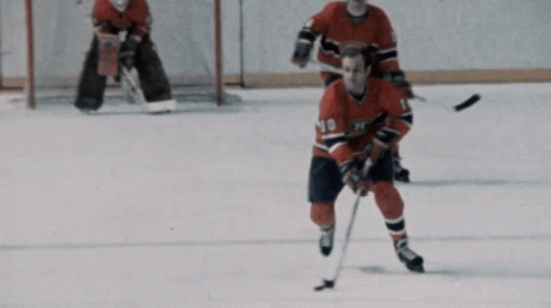 Hockey Player in Red Jersey Number 10