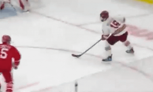 Hockey Player in Red Jersey Number 5
